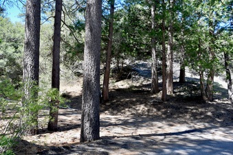 Enlarge photo 28