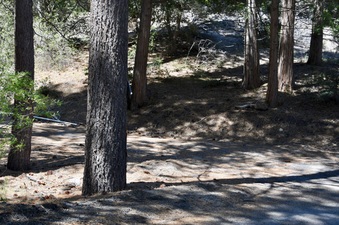 Enlarge photo 29