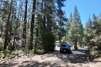 Enlarge photo 34