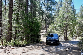 Enlarge photo 35