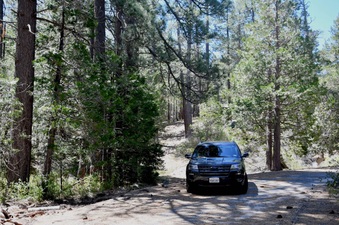 Enlarge photo 36