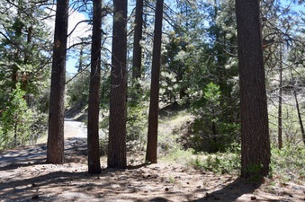 Enlarge photo 37