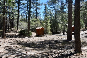 Enlarge photo 7