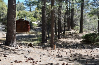 Enlarge photo 11
