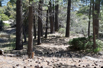 Enlarge photo 12