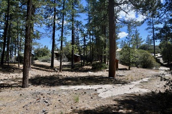 Enlarge photo 15