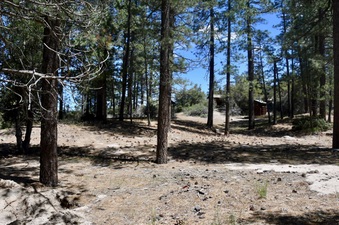 Enlarge photo 16