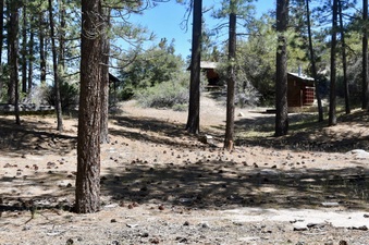 Enlarge photo 19