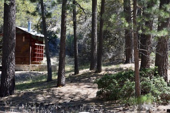Enlarge photo 20