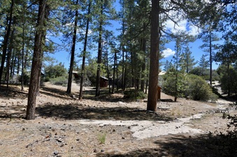 Enlarge photo 22