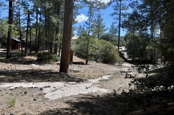 Enlarge photo 23