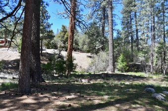 Angeles Crest Christian Camp 3