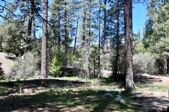 Enlarge photo 3