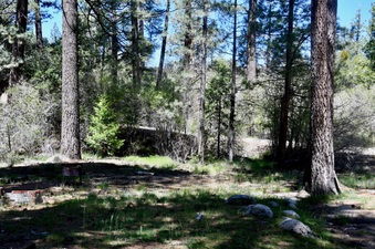Enlarge photo 4