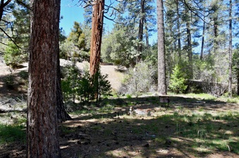 Enlarge photo 6