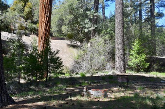 Enlarge photo 7