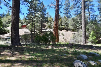 Enlarge photo 8