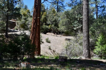 Enlarge photo 9