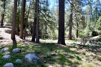 Enlarge photo 10