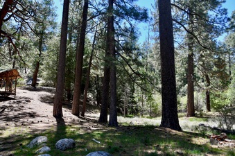 Enlarge photo 11