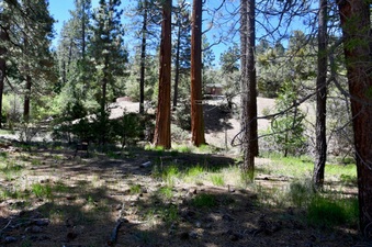 Enlarge photo 15