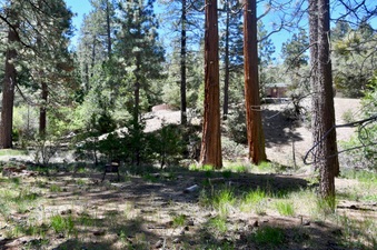 Enlarge photo 16