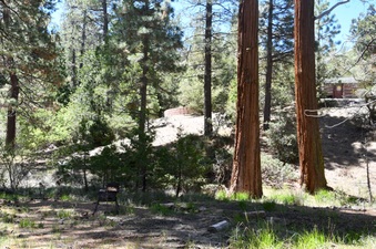 Enlarge photo 17