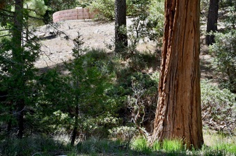 Enlarge photo 18