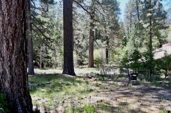 Enlarge photo 19