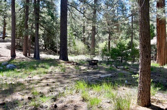 Enlarge photo 21