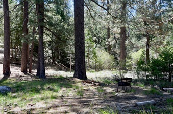 Enlarge photo 22