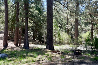 Enlarge photo 23