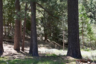 Enlarge photo 24
