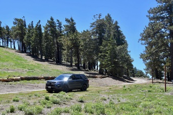 Enlarge photo 7