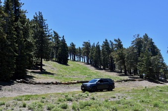 Enlarge photo 10
