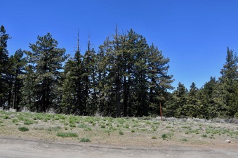 Enlarge photo 19