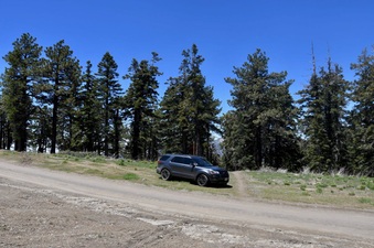 Enlarge photo 21