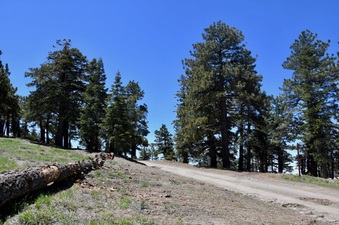 Enlarge photo 28