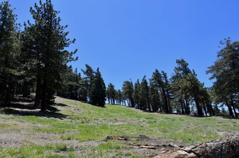 Enlarge photo 29