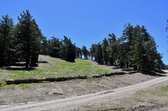Enlarge photo 31