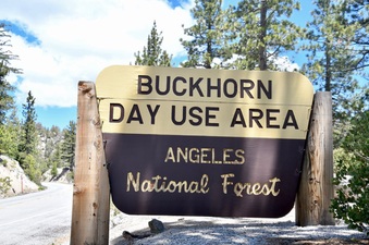 Buckhorn Day Use Area