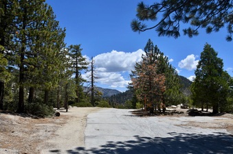 Enlarge photo 2
