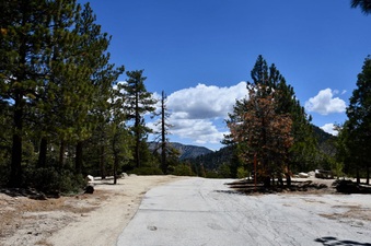 Enlarge photo 3
