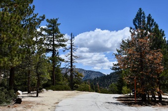Enlarge photo 4
