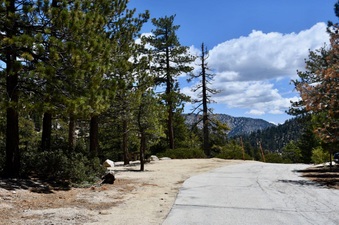 Enlarge photo 5