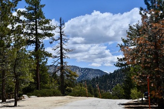 Enlarge photo 7