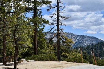 Enlarge photo 8