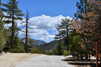Enlarge photo 10