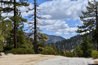 Enlarge photo 12