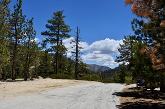 Enlarge photo 13